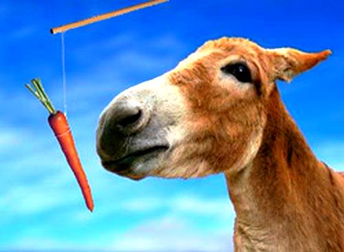 donkey-carrot-and-stick.jpg